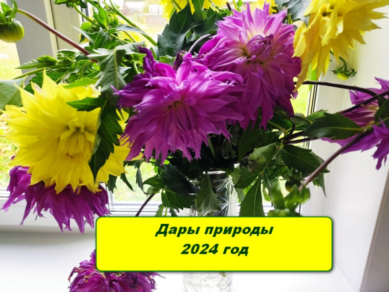 "Дары природы, чудеса осени".