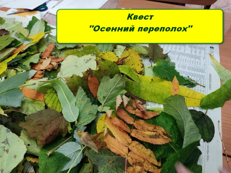 Квест "Осенний переполох".